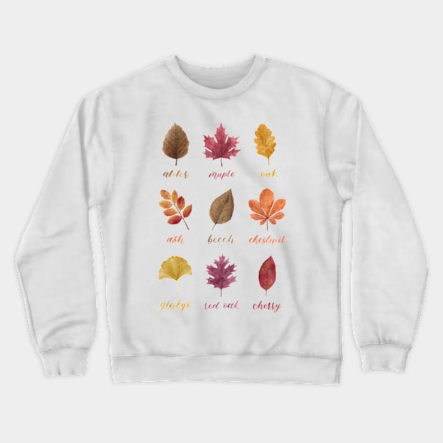 Fall Leaves Chart Watercolour Painting & Calligraphy Crewneck Sweatshirt by Flowering Words